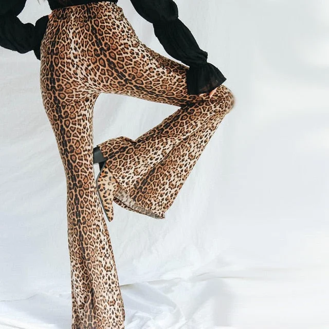 Leopard